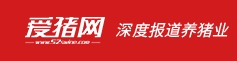 合作媒體