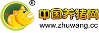 合作媒體
