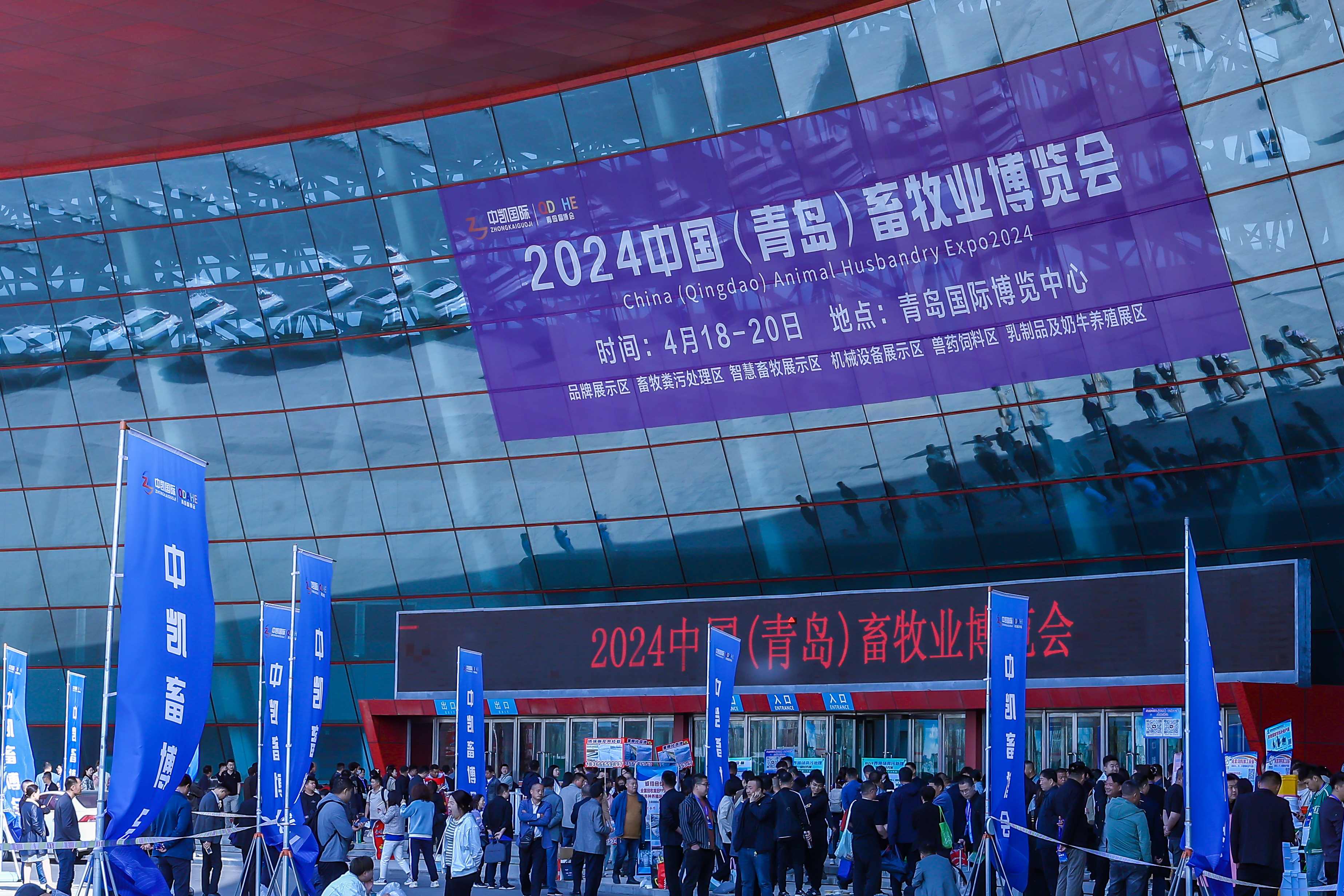 2024青島畜牧展